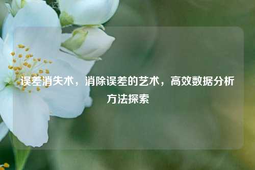 误差消失术，消除误差的艺术，高效数据分析方法探索