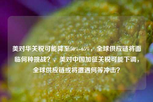 美对华关税可能降至50%-65%，全球供应链将面临何种挑战？，美对中国加征关税可能下调，全球供应链或将遭遇何等冲击？