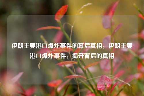 伊朗主要港口爆炸事件的幕后真相，伊朗主要港口爆炸事件，揭开背后的真相