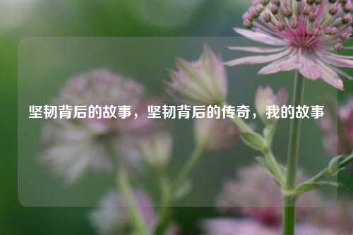 坚韧背后的故事，坚韧背后的传奇，我的故事