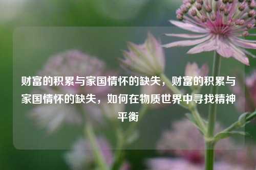 财富的积累与家国情怀的缺失，财富的积累与家国情怀的缺失，如何在物质世界中寻找精神平衡