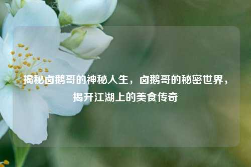 揭秘卤鹅哥的神秘人生，卤鹅哥的秘密世界，揭开江湖上的美食传奇