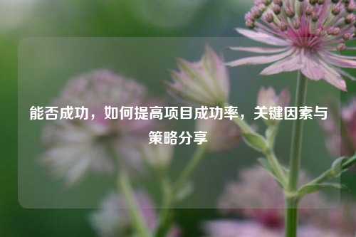 能否成功，如何提高项目成功率，关键因素与策略分享