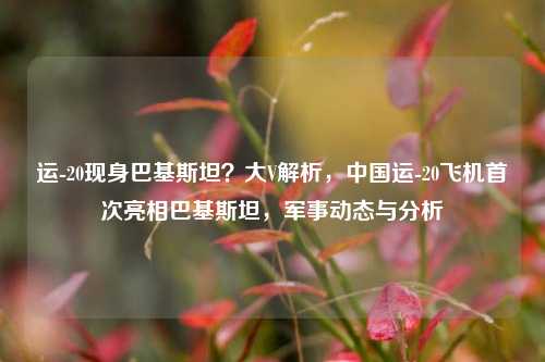 运-20现身巴基斯坦？大V解析，中国运-20飞机首次亮相巴基斯坦，军事动态与分析