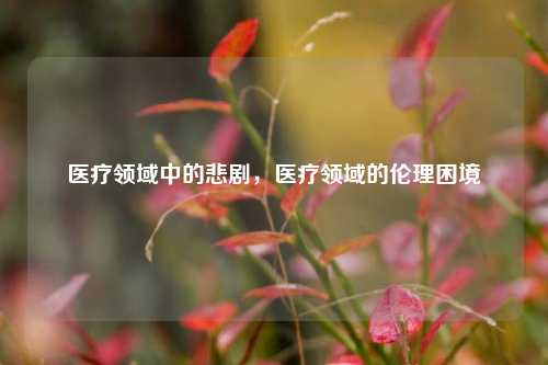 医疗领域中的悲剧，医疗领域的伦理困境