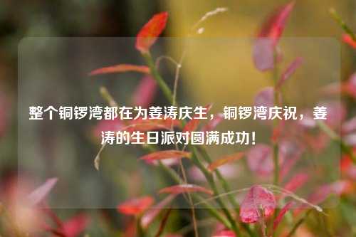 整个铜锣湾都在为姜涛庆生，铜锣湾庆祝，姜涛的生日派对圆满成功！