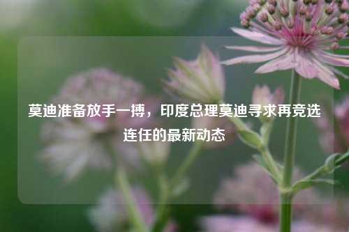 莫迪准备放手一搏，印度总理莫迪寻求再竞选连任的最新动态