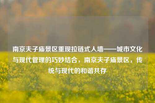 南京夫子庙景区重现拉链式人墙——城市文化与现代管理的巧妙结合，南京夫子庙景区，传统与现代的和谐共存