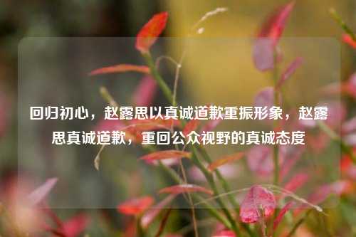 回归初心，赵露思以真诚道歉重振形象，赵露思真诚道歉，重回公众视野的真诚态度