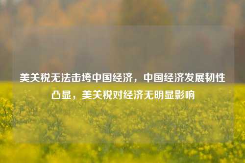美关税无法击垮中国经济，中国经济发展韧性凸显，美关税对经济无明显影响