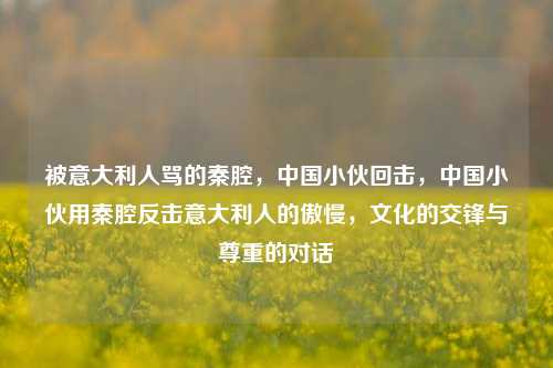 被意大利人骂的秦腔，中国小伙回击，中国小伙用秦腔反击意大利人的傲慢，文化的交锋与尊重的对话
