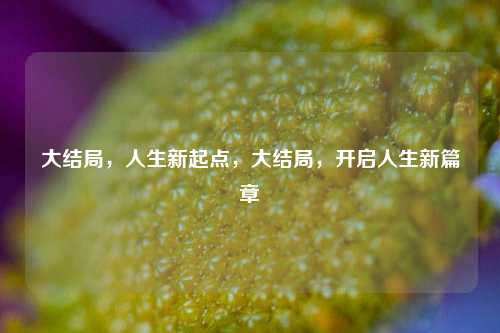 大结局，人生新起点，大结局，开启人生新篇章
