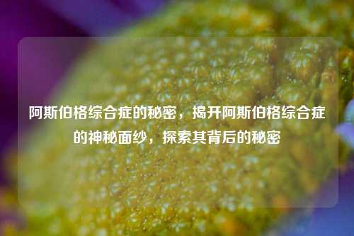 阿斯伯格综合症的秘密，揭开阿斯伯格综合症的神秘面纱，探索其背后的秘密