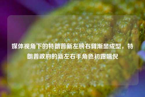媒体视角下的特朗普新左膀右臂渐显成型，特朗普政府的新左右手角色初露端倪