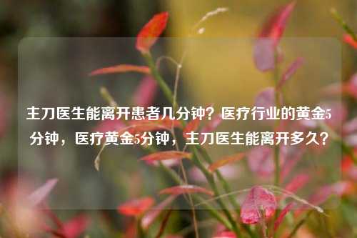 主刀医生能离开患者几分钟？医疗行业的黄金5分钟，医疗黄金5分钟，主刀医生能离开多久？