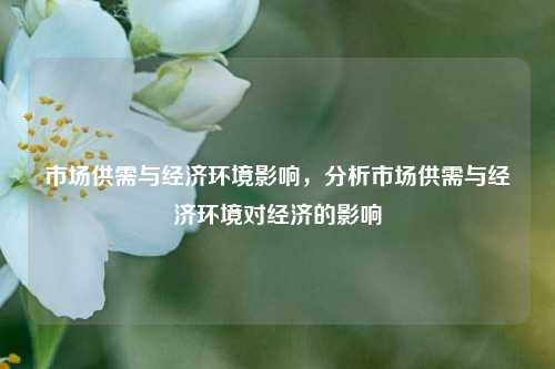 市场供需与经济环境影响，分析市场供需与经济环境对经济的影响