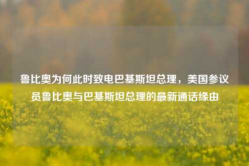 鲁比奥为何此时致电巴基斯坦总理，美国参议员鲁比奥与巴基斯坦总理的最新通话缘由