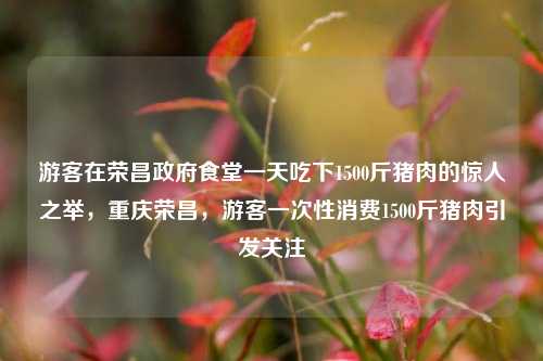 游客在荣昌政府食堂一天吃下1500斤猪肉的惊人之举，重庆荣昌，游客一次性消费1500斤猪肉引发关注