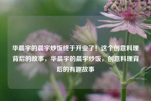 华晨宇的晨宇炒饭终于开业了！这个创意料理背后的故事，华晨宇的晨宇炒饭，创意料理背后的有趣故事