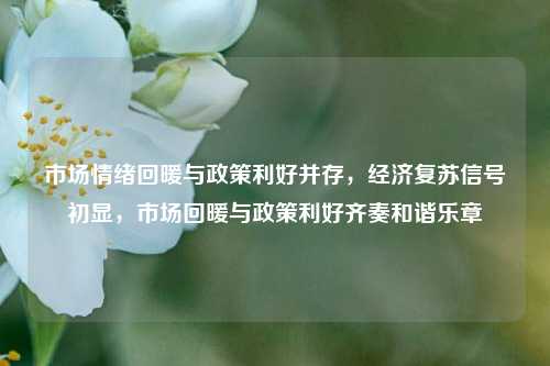 市场情绪回暖与政策利好并存，经济复苏信号初显，市场回暖与政策利好齐奏和谐乐章