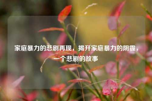 家庭暴力的悲剧再现，揭开家庭暴力的阴霾，一个悲剧的故事