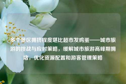 多个景区拥挤程度堪比超市发鸡蛋——城市旅游的挑战与应对策略，缓解城市旅游高峰期拥堵，优化资源配置和游客管理策略