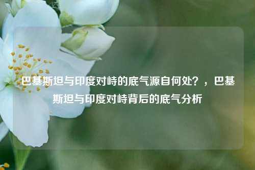 巴基斯坦与印度对峙的底气源自何处？，巴基斯坦与印度对峙背后的底气分析