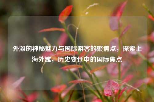 外滩的神秘魅力与国际游客的聚焦点，探索上海外滩，历史变迁中的国际焦点