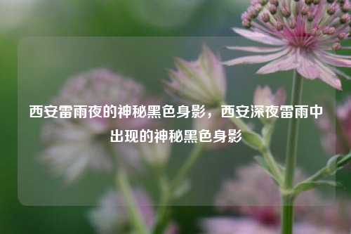 西安雷雨夜的神秘黑色身影，西安深夜雷雨中出现的神秘黑色身影