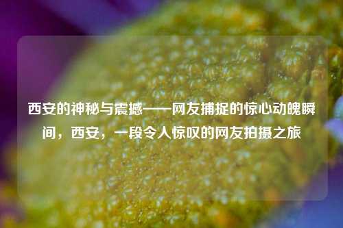 西安的神秘与震撼——网友捕捉的惊心动魄瞬间，西安，一段令人惊叹的网友拍摄之旅