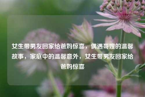 女生带男友回家给爸妈惊喜，偶遇哥嫂的温馨故事，家庭中的温馨意外，女生带男友回家给爸妈惊喜