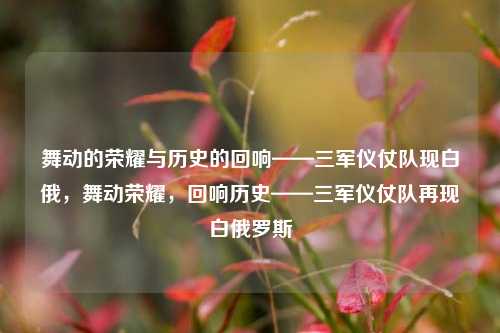 舞动的荣耀与历史的回响——三军仪仗队现白俄，舞动荣耀，回响历史——三军仪仗队再现白俄罗斯