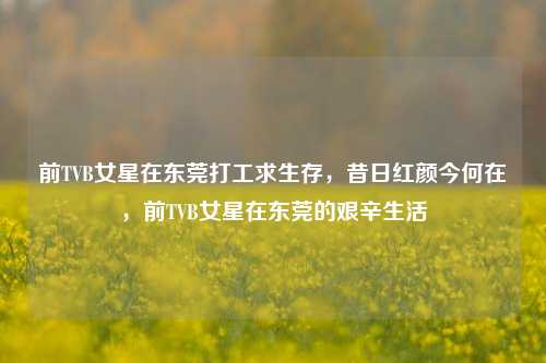 前TVB女星在东莞打工求生存，昔日红颜今何在，前TVB女星在东莞的艰辛生活