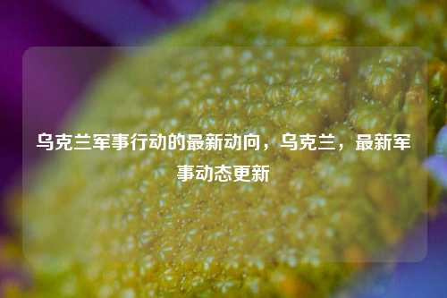 乌克兰军事行动的最新动向，乌克兰，最新军事动态更新
