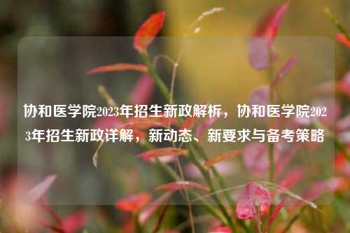 协和医学院2023年招生新政解析，协和医学院2023年招生新政详解，新动态、新要求与备考策略