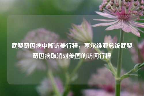 武契奇因病中断访美行程，塞尔维亚总统武契奇因病取消对美国的访问行程