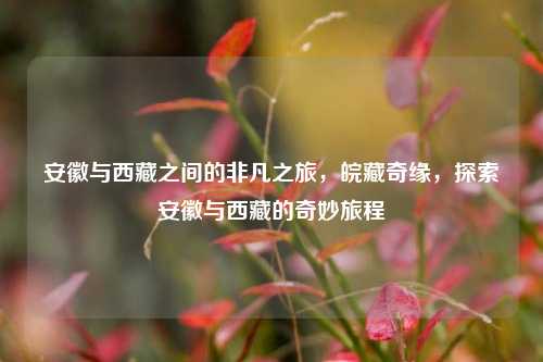 安徽与西藏之间的非凡之旅，皖藏奇缘，探索安徽与西藏的奇妙旅程
