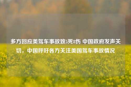 多方回应美驾车事故致5死8伤 中国政府发声关切，中国呼吁各方关注美国驾车事故情况