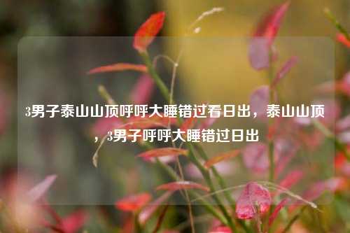 3男子泰山山顶呼呼大睡错过看日出，泰山山顶，3男子呼呼大睡错过日出