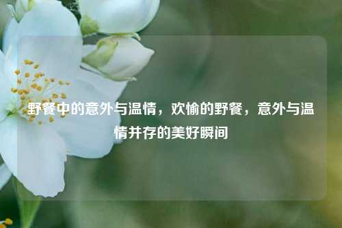 野餐中的意外与温情，欢愉的野餐，意外与温情并存的美好瞬间