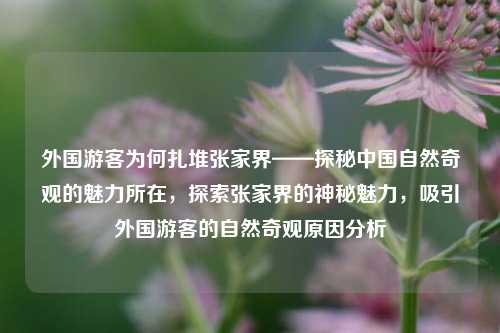 外国游客为何扎堆张家界——探秘中国自然奇观的魅力所在，探索张家界的神秘魅力，吸引外国游客的自然奇观原因分析