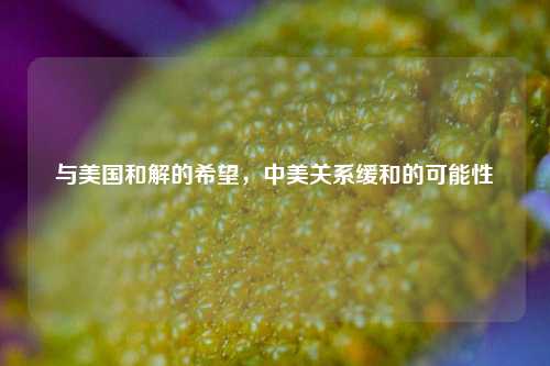 与美国和解的希望，中美关系缓和的可能性