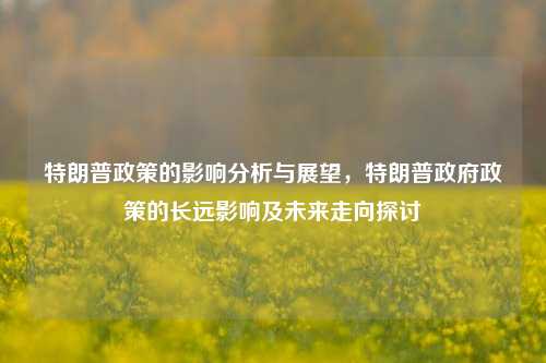 特朗普政策的影响分析与展望，特朗普政府政策的长远影响及未来走向探讨