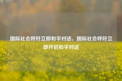 国际社会呼吁立即和平对话，国际社会呼吁立即开启和平对话
