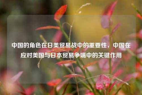中国的角色在日美贸易战中的重要性，中国在应对美国与日本贸易争端中的关键作用