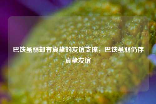 巴铁虽弱却有真挚的友谊支撑，巴铁虽弱仍存真挚友谊