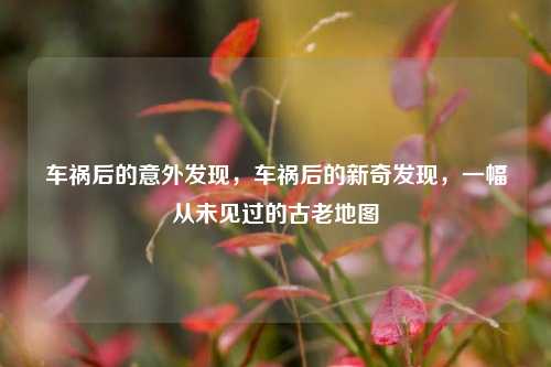 车祸后的意外发现，车祸后的新奇发现，一幅从未见过的古老地图