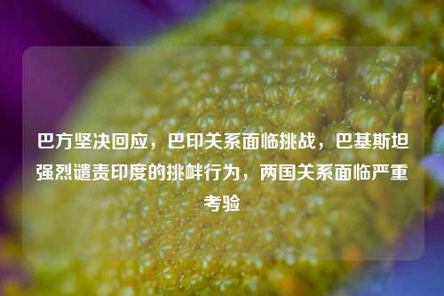 巴方坚决回应，巴印关系面临挑战，巴基斯坦强烈谴责印度的挑衅行为，两国关系面临严重考验