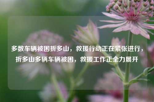 多数车辆被困折多山，救援行动正在紧张进行，折多山多辆车辆被困，救援工作正全力展开