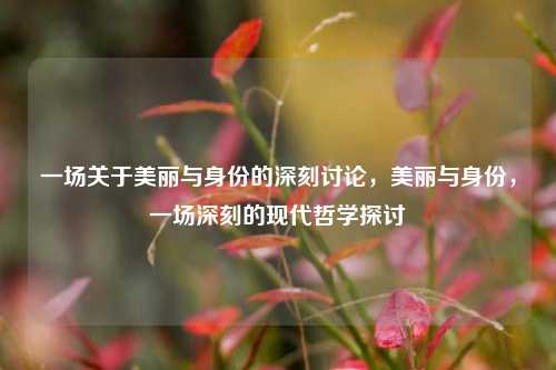 一场关于美丽与身份的深刻讨论，美丽与身份，一场深刻的现代哲学探讨